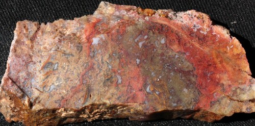 A277 ~ 1.7oz Losa Gruesa Multicolor Musgo Ágata ~ México - Imagen 8 de 8
