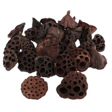 30 Mini Dried Brwon Lotus Without and Stems 1.2-4.7inch ,