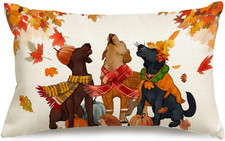Fall Pillow Covers 12x20 Inch Fall Decorations for Home