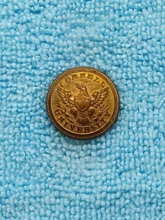 1860s 1870s Cornell University Uniform Button D1