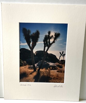 Steven Poe Photography 1996  Solace  SIGNED. Matting 8 x10 