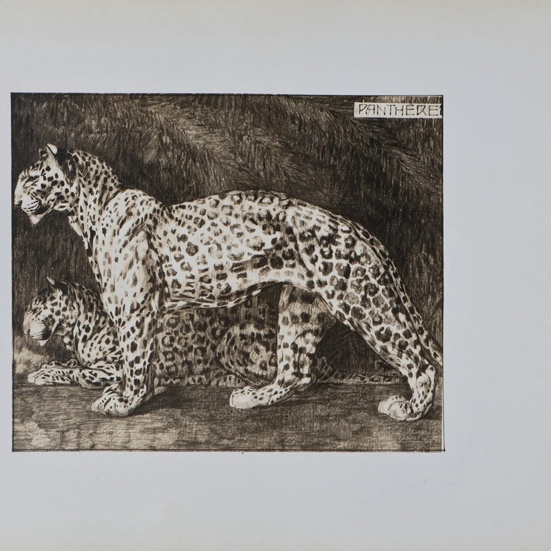Mathurin Meheut: The Panther, Lithograph, 1911 thumbnail 2