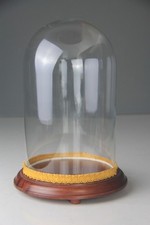 Vintage Round Glass Display Dome w/ Wooden Base