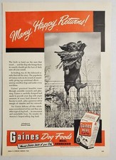 1949 Print Ad Gaines Meal Dog Food Hunting Dog Jumps Fence with Bird in Mouth