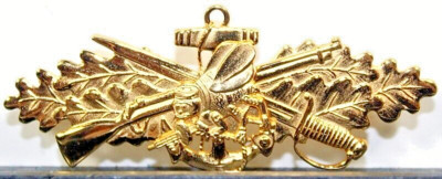 Mini Scw Pin US Navy Officer Seabee Combat Warfare Specialist (SCWS) Badge Insignia ...