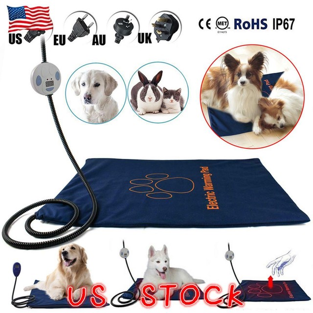 electric heated dog bed