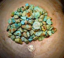 1 Lb Sonora Turquoise Rough From The Campitos Mountains 