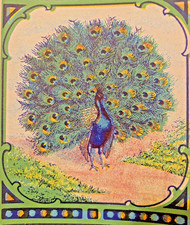 Antique Peacock Broom Label   1910s 1920s NOS...