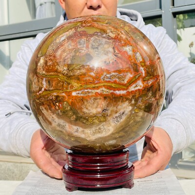 41.88lb Large Natural Petrified Wood Fossil Quartz Crystal Sphere Ball Healing
