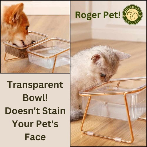 Elevated Cat & Dog Bowls 15° Tilted Stand Stainless Steel Transparent Bowls - Picture 7 of 8
