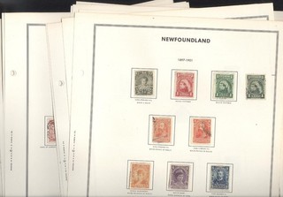 NEWFOUNDLAND Stamp Collection hinged on Harris pages