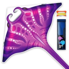 3D Red Pterosaur Kite for Boys  Adults Easy to Fly,Beach Trip Outdoor Games ...