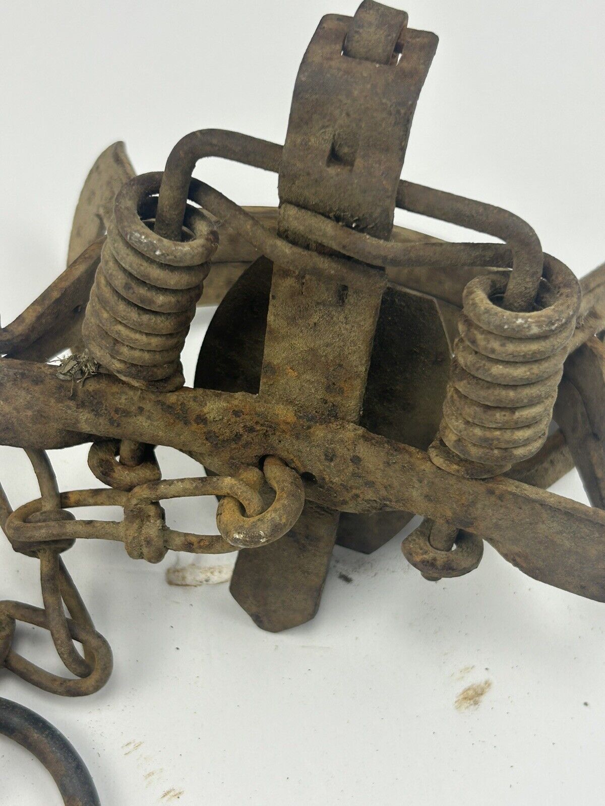 Picture 4 of 5