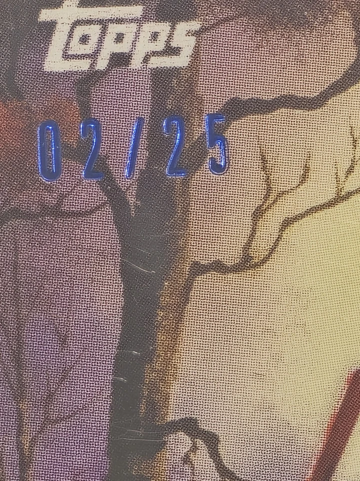 2025 Topps x Bob Ross Joy of Baseball Jhonkensy Noel Budding Talents Gold /25 RC - Image 2 of 3