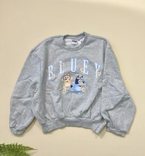 Bluey hoodie Size XS Adult New With Tag
