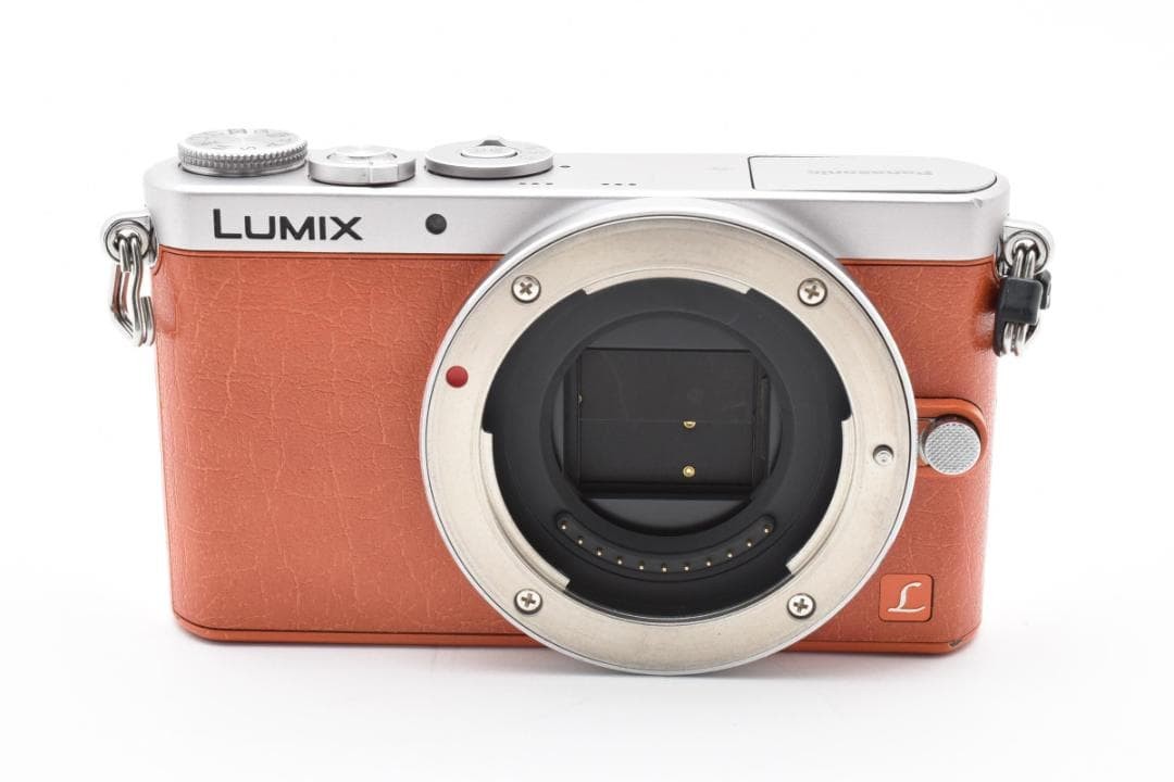 Number of shots: 9827 Panasonic LUMIX DMC-GM1S | eBay