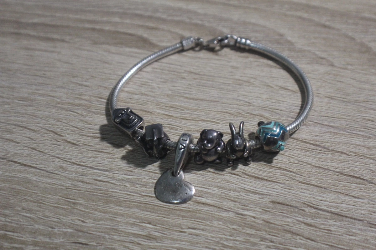 Ebay store chamilia charms