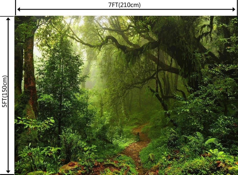 7X5英尺丛林森林摄影背景 - 独特活动和回忆的理想选择 — 第 4/4 张图片