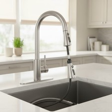 High Arc Stainless Steel Kitchen Faucet with Built-In Water Filter  Sprayer