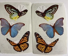 2009 Lot of 2 Modules Mrs Grossman's BUTTERFLIES Photoessence 6 Stickers