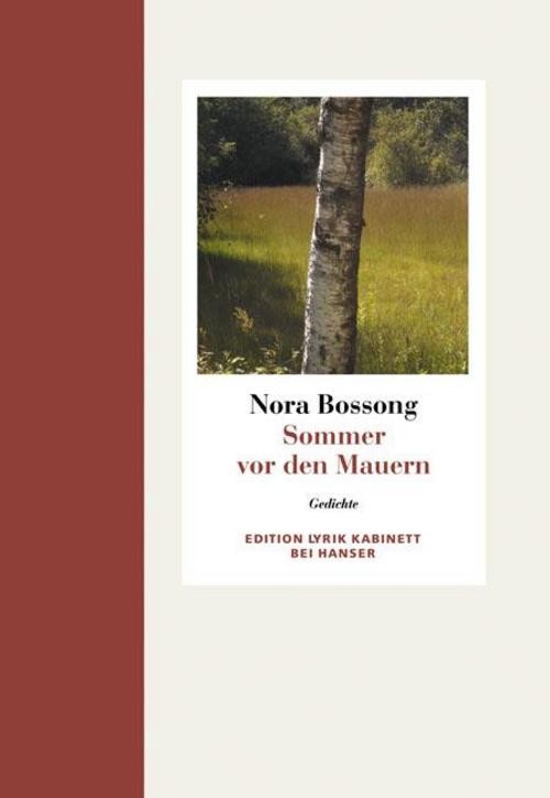 Sommer vor den Mauern. Gedichte - Bild 2