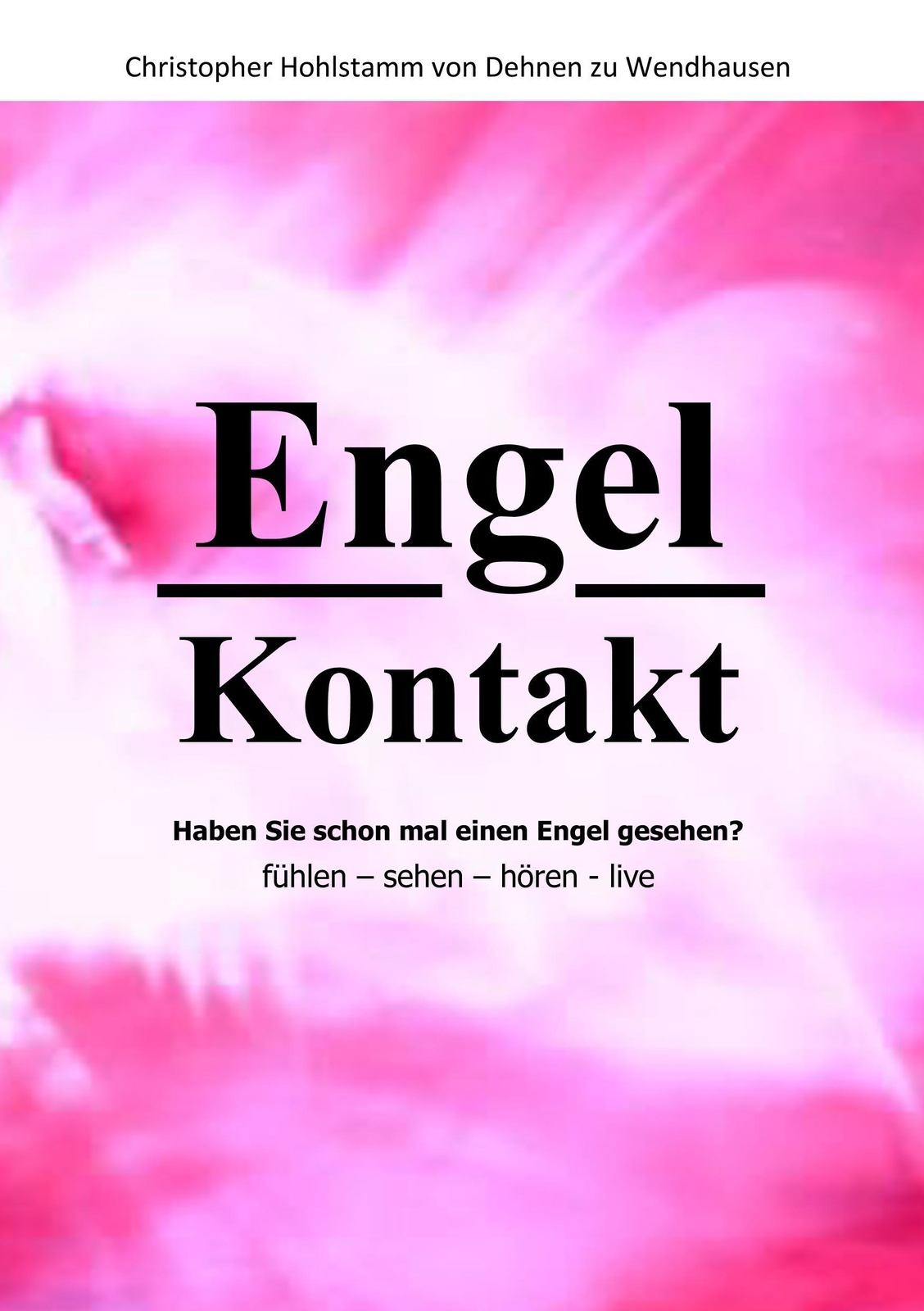 Engel Kontakt - Haben Sie Schon Mal Einen Engel Gesehen | Wendhausen |