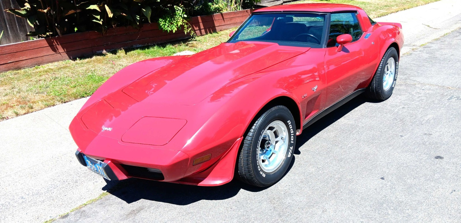 1979 Red Chevrolet Corvette   | C3 Corvette Photo 2