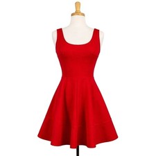 Lulus Womens S Red Fit & Flare Stretch Knit Skater Dress Short Sleeveless USA