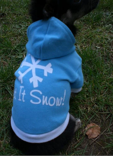 WAUWUF Hunde Pullover OP-Schutzhemd Rl.15-20cm Mini Chihuahua, Welpen