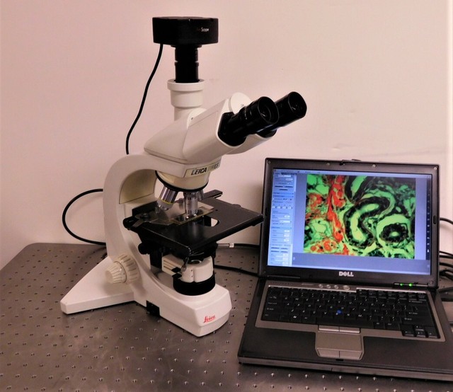 Leica DMLS Trinocular Microscope with 10MP Camera system eBay