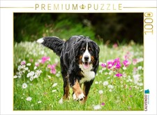 CALVENDO Puzzle Bl tenzauber 1000 Teile Lege-Gr e 64 48 cm Foto-Puzzle f r