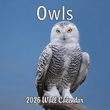 2026 Owls Monthly Wall Calendar  Animals Calendar 2025-2026