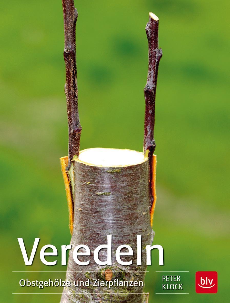 Thumbnail - Veredeln Peter Klock