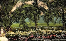 VIntage Postcard-San Bernardino Valley from Smiley Heights, Redlands, CA