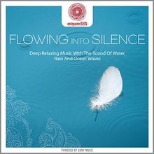 entspanntSEIN - Flowing Into Silence (Deep Relaxing M... | CD | Zustand sehr gut