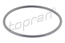 Dichtung Wasserpumpe TOPRAN 100 572 für VW POLO 86C 1G1 GOLF AUDI CORDOBA 80 19E