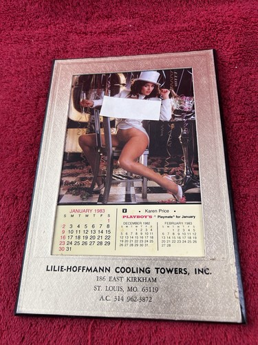 1983 Playboy Playmate Desk Calendar Complete 12 Month Pinups Promo