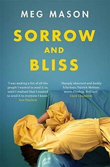 Sorrow and Bliss von Mason, Meg | Buch | Zustand sehr gut