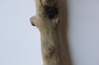 Bild 8 von 12