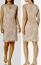 Alex Evenings Embroidered Pale Blush Cocktail Dress Keyhole Cutout Sz.16P NWT
