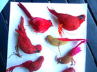 Lot of 8 Vintage Red Birds & Cardinal Decorations w/ Real Feathers — photo 2