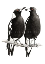 Watercolour Australian Magpie Couple Print - Native Australian bird artwork