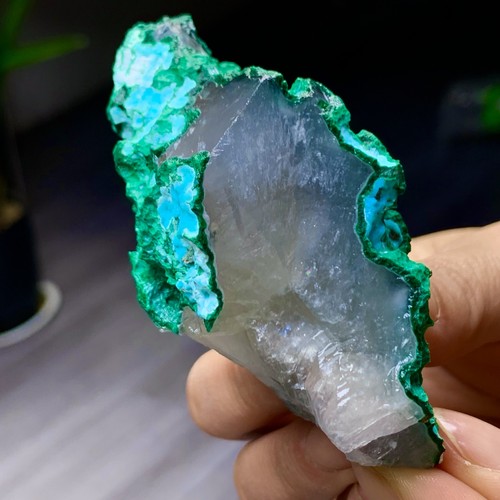 146GNatural malachite with gypsum Symbiotic mineral specimen - 第 2/24 張圖片