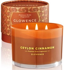 Luxury Cinnamon Scented Soy Candle 3-Wick Large Jar Fall Christmas Gift