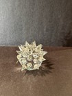 Swarovski Hedgehog Figurine — photo 6