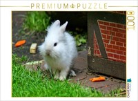 Calvendo Puzzle White Long-Haired Dwarf Rabbit | 1000 Pieces, Finished Size 25.2