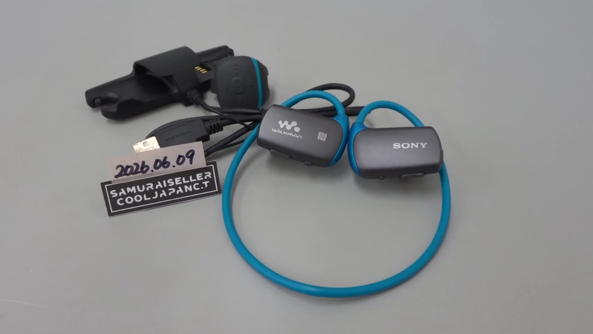 SONY Walkman W Series NW-WS615L 16GB Integrated Headphone