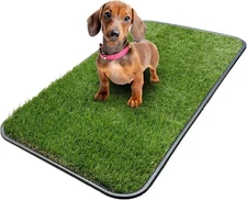 Artificial Grass Pee Pad 15" x 30" with Tray for Indoor Outdoor Dog Training fre