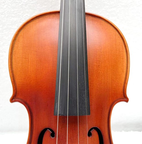 SONG Maestro Advanced Violino 4/4, Violino in palissandro full size, Buon suono #15377 - Foto 4 di 11