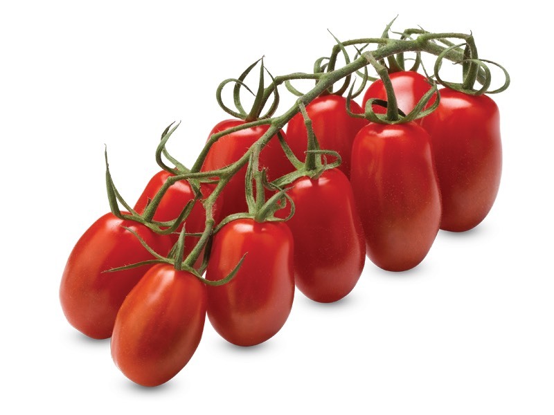 BIO-Tomatensamen San Marzano – Flaschentomate Für Etwa 20 Pflanzen, Rot